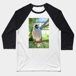 Noisy Miner 05 Baseball T-Shirt